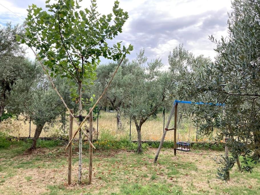 Casa Sisu-Appartamento Immerso Negli Ulivi SantʼElia Fiumerapido المظهر الخارجي الصورة