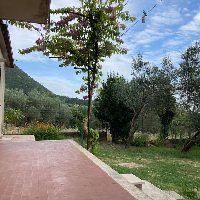 Casa Sisu-Appartamento Immerso Negli Ulivi SantʼElia Fiumerapido المظهر الخارجي الصورة