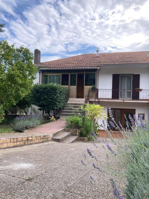 Casa Sisu-Appartamento Immerso Negli Ulivi SantʼElia Fiumerapido المظهر الخارجي الصورة