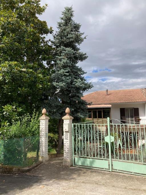 Casa Sisu-Appartamento Immerso Negli Ulivi SantʼElia Fiumerapido المظهر الخارجي الصورة