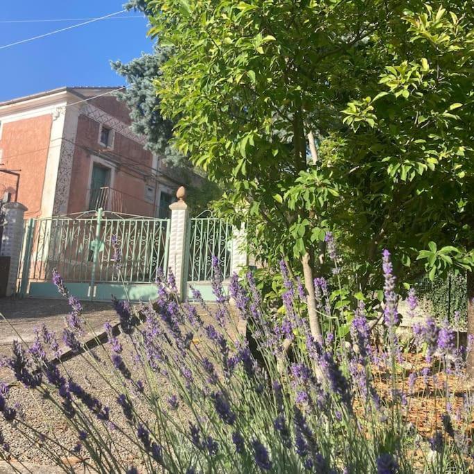 Casa Sisu-Appartamento Immerso Negli Ulivi SantʼElia Fiumerapido المظهر الخارجي الصورة