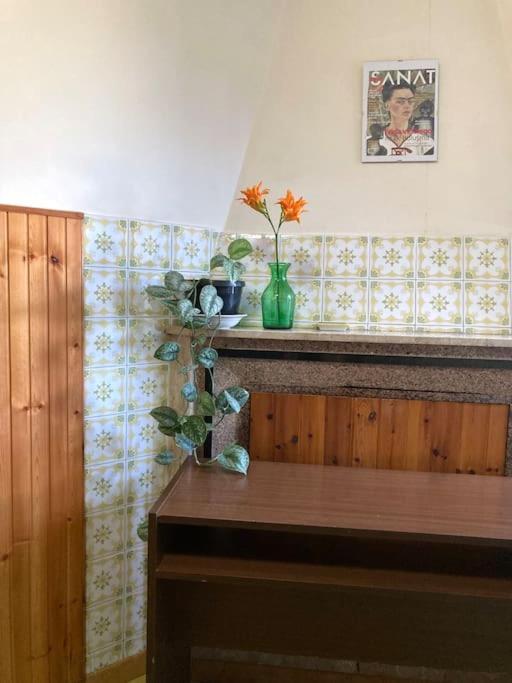 Casa Sisu-Appartamento Immerso Negli Ulivi SantʼElia Fiumerapido المظهر الخارجي الصورة